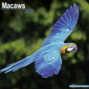 Macaws 2025 Calendar