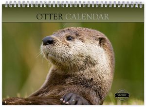 Otter 2025 Calendar