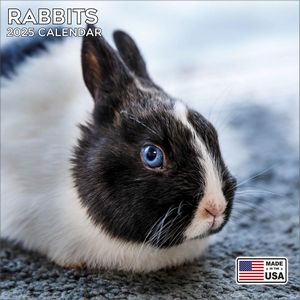Rabbits 2025 Calendar
