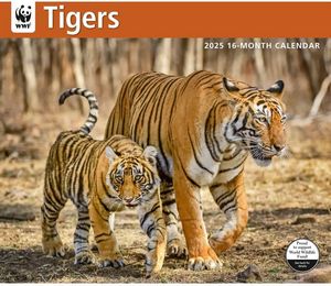 Tigers 2025 Calendar