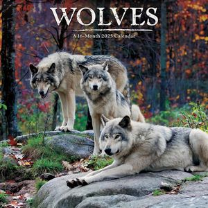 Wolves 2025 Calendar