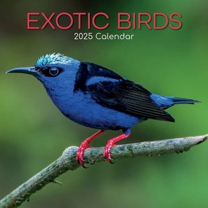 Exotic Birds 2025 Calendar