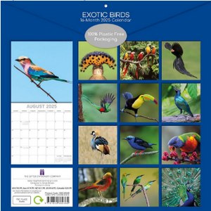Exotic Birds 2025 Calendar
