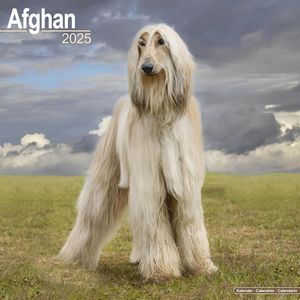 Afghan 2025 Calendar