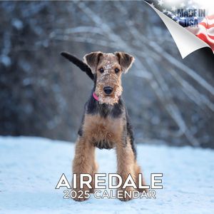 Airedale Terrier 2025 Calendar