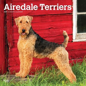 Airedale Terriers 2025 Wall Calendar
