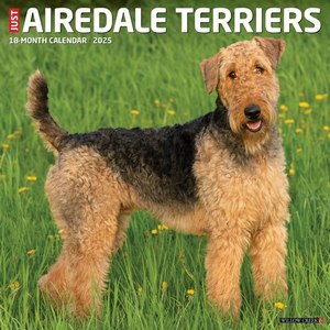 Just Airedale Terriers 2025 Wall Calendar