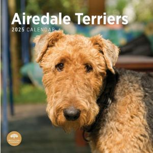 Airedale Terriers 2025 Calendar