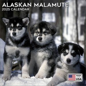 Alaskan Malamute 2025 Calendar