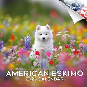 American Eskimo 2025 Calendar
