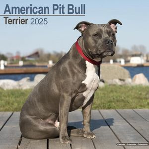 American Pit Bull 2025 Calendars