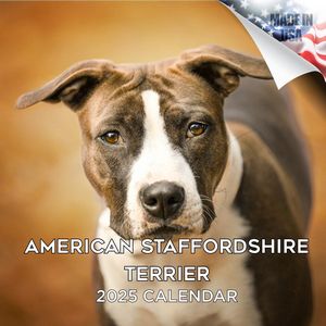 American Staffordshire Terrier 2025 Calendar