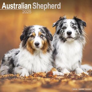 Australian Shepherds 2025 Calendar