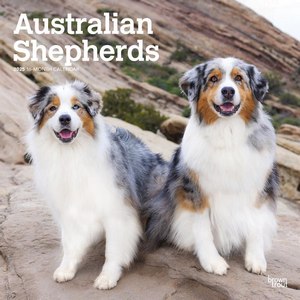 Australian Shepherds 2025 Calendar