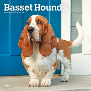 Basset Hounds 2025 Calendar