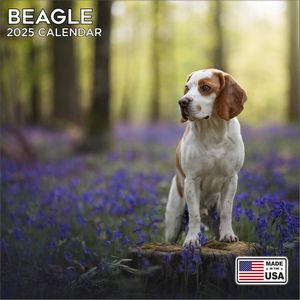 Beagle 2025 Calendar