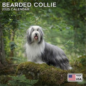Bearded Collie 2025 Calendar