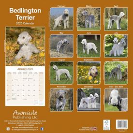 Bedlington Terrier 2025 Calendar