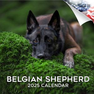 Belgian Shepherd 2025 Calendar