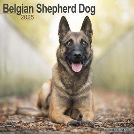 Belgian Shepherd 2025 Calendar