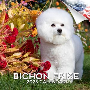 Bichon Frise 2025 Calendar