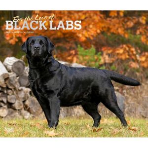 Black Lab Retriever Puppies 2025 Wall Calendar
