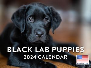 Black Lab Puppies 2025 Calendar