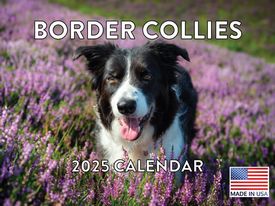 Border Collies 2025 Calendars