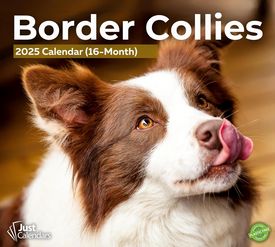 Border Collies 2025 Calendar