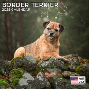 Border Terrier 2025 Calendar