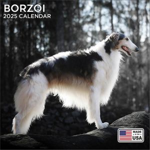 Borzoi 2025 Calendar