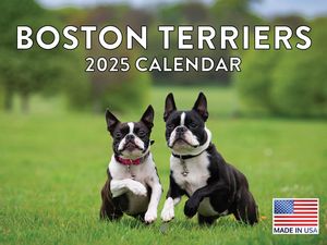 Boston Terriers 2025 Calendar