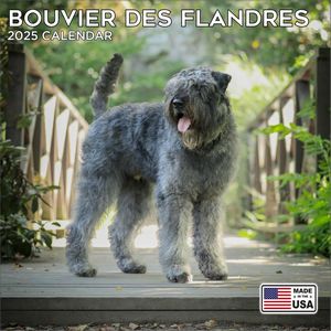 Bouvier Des Flandres 2025 Calendar