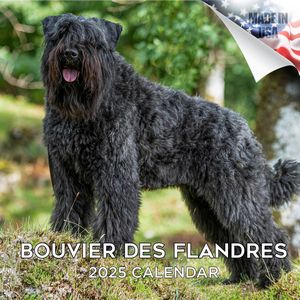 Bouvier Des Flandres 2025 Calendar