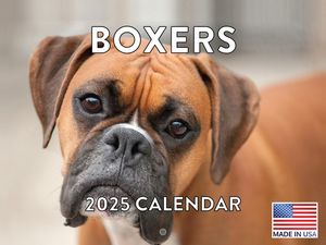 Boxers 2025 Calendar
