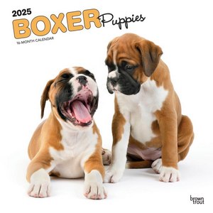 Boxer Puppies 2025 Wall Calendar