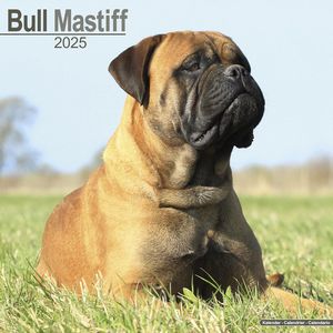 Bull Mastiff 2025 Calendar