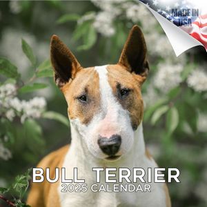 Bull Terrier 2025 Calendar