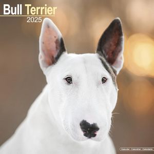 Bull Terrier 2025 Calendar