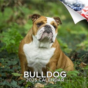 Bulldog 2025 Calendar