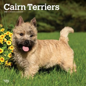 Cairn Terriers 2025 Calendar
