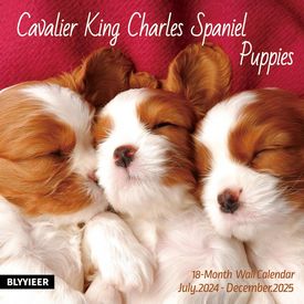 Cavalier King Charles Spaniel Puppies 2025 Calendar