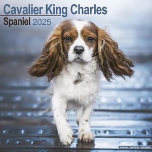 Cavalier King Charles Spaniel 2025 Calendar