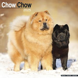 Chow Chow 2025 Calendar