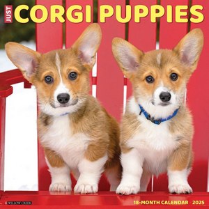 Corgi Puppies 2025 Calendar
