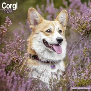 Corgi 2025 Calendar