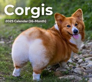 Corgis 2025 Calendar