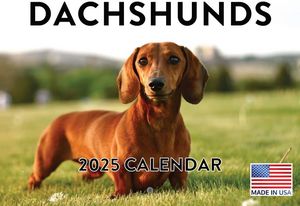 Dachshunds 2025 Calendar
