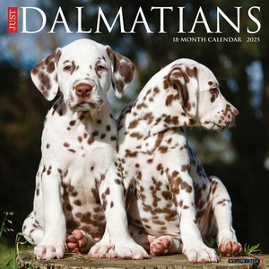 Just Dalmatians 2025 Wall Calendar