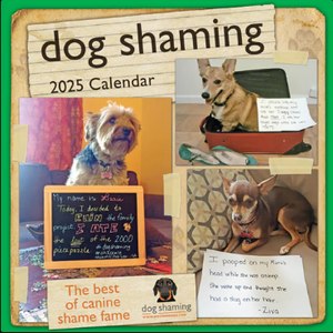 Dog Shaming 2025 Calendar